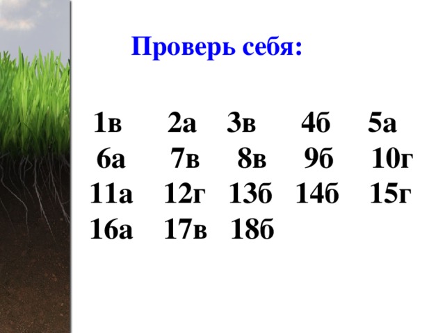  Проверь себя:  1в 2а 3в 4б 5а 6а 7в 8в 9б 10г 11а 12г 13б 14б 15г 16а 17в 18б 