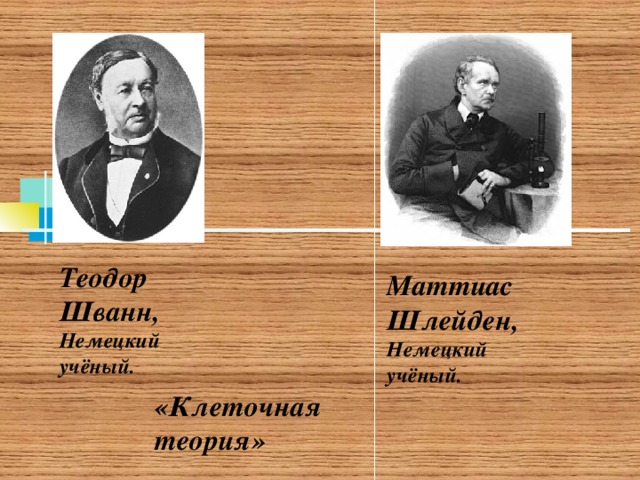 Теодор Шванн, Немецкий учёный. Маттиас Шлейден, Немецкий учёный. «Клеточная теория» 