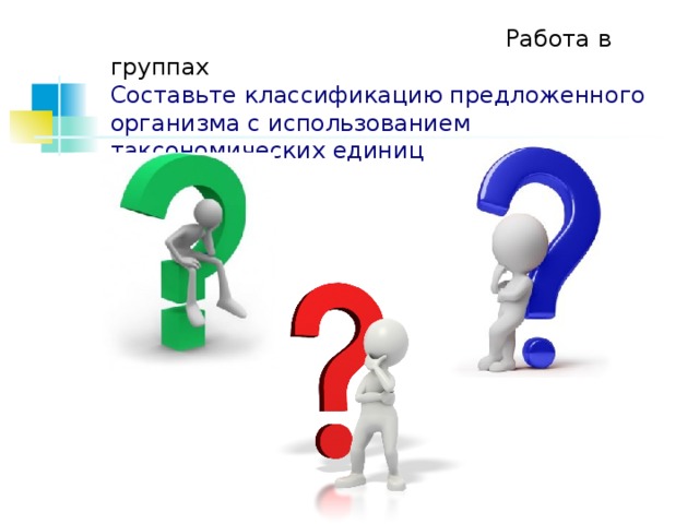  Работа в группах  Составьте классификацию предложенного организма с использованием таксономических единиц 