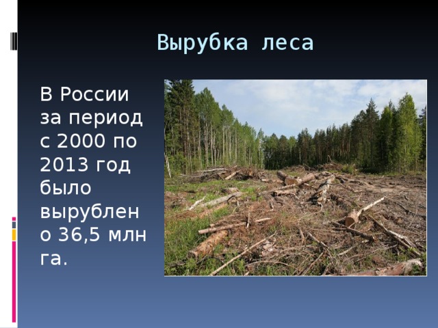  Вырубка леса В России за период с 2000 по 2013 год было вырублено 36,5 млн га. 