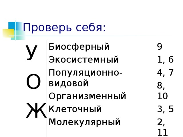 Проверь себя: У О Ж Биосферный Экосистемный Популяционно-видовой Организменный Клеточный Молекулярный 9 1, 6 4, 7 8, 10 3, 5 2, 11 