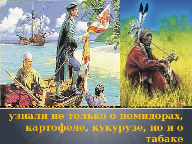      Благодаря Колумбу европейцы узнали не только о помидорах, картофеле, кукурузе, но и о табаке 