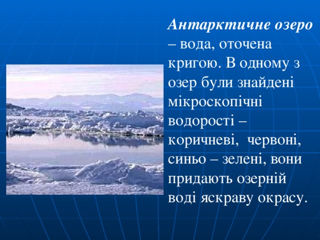 Антарктичне озеро – вода, оточена кригою. В одному з озер були знайдені мікроскопічні водорості – коричневі, червоні, синьо – зелені, вони придають озерній воді яскраву окрасу. 