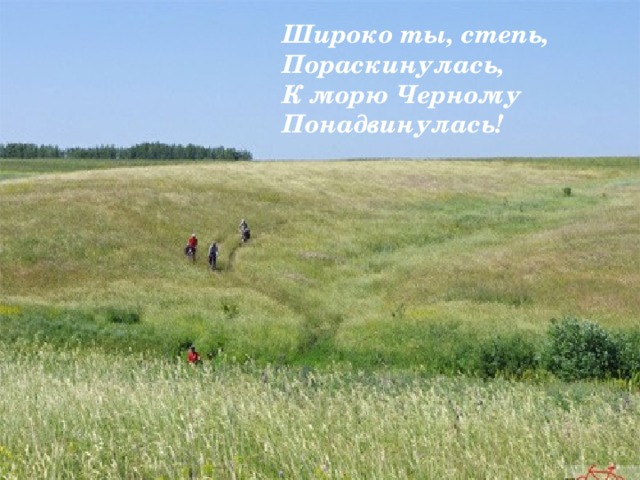 Широко ты, степь,  Пораскинулась,  К морю Черному  Понадвинулась! 