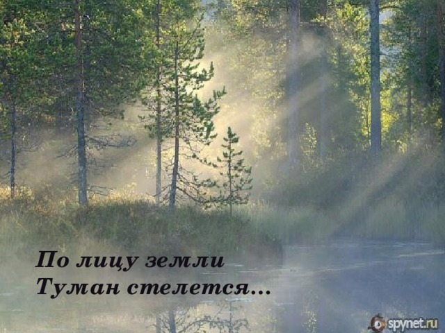 По лицу земли Туман стелется… 