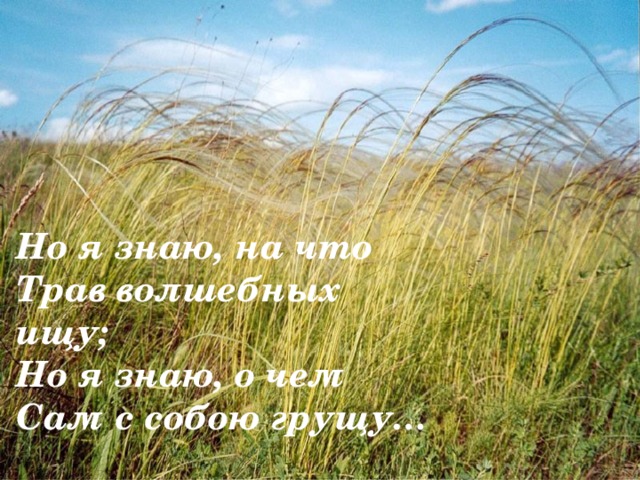Но я знаю, на что Трав волшебных ищу; Но я знаю, о чем Сам с собою грущу… 