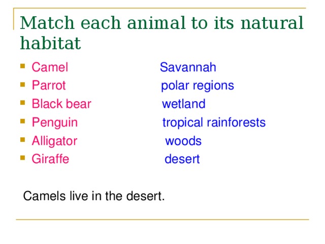 Match each animal to its natural habitat Camel  Savannah Parrot  polar regions Black bear  wetland Penguin  tropical rainforests  Alligator  woods Giraffe  desert   Camels live in the desert. 