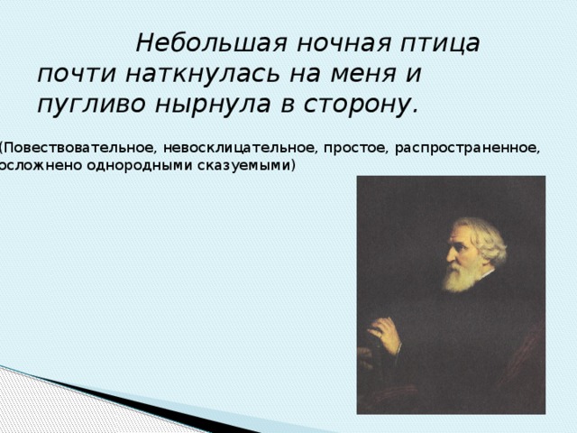  Небольшая ночная птица почти наткнулась на меня и пугливо нырнула в сторону.  (Повествовательное, невосклицательное, простое, распространенное,  осложнено однородными сказуемыми) 