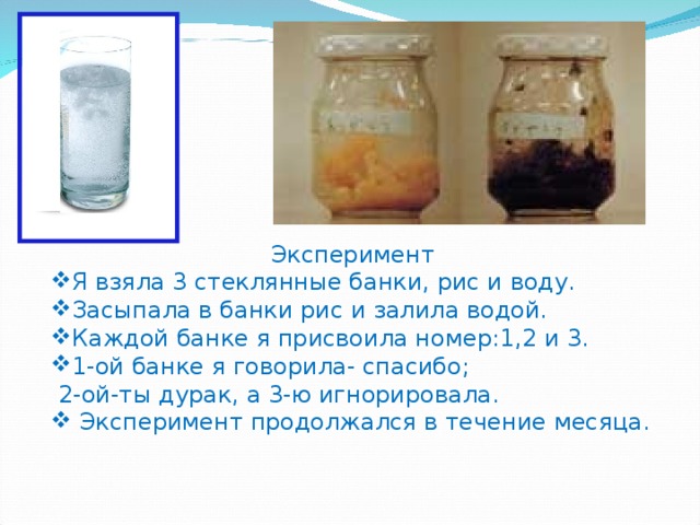 Возьмите стеклянную. Масару Эмото опыт с рисом. Опыт с рисом и водой. Эксперимент с рисом и водой. Эксперимент с рисом в двух банках.