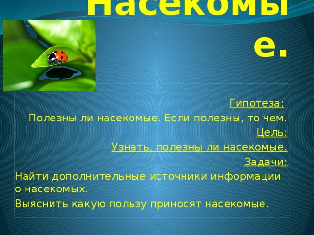 Насекомые приносящие пользу. Какую пользу приносят насекомые. Вывод полезные насекомые. Вывод о насекомых. Задачи про насекомых.