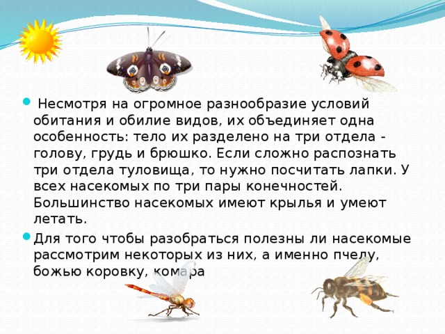  Несмотря на огромное разнообразие условий обитания и обилие видов, их объединяет одна особенность: тело их разделено на три отдела - голову, грудь и брюшко. Если сложно распознать три отдела туловища, то нужно посчитать лапки. У всех насекомых по три пары конечностей. Большинство насекомых имеют крылья и умеют летать. Для того чтобы разобраться полезны ли насекомые рассмотрим некоторых из них, а именно пчелу, божью коровку, комара 