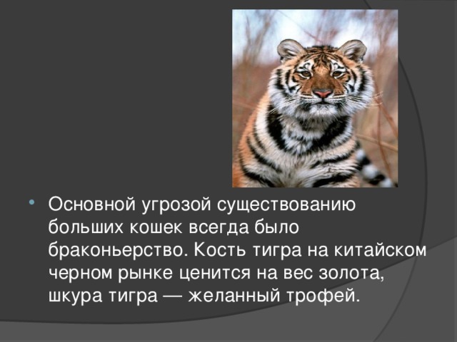 под угрозой существования