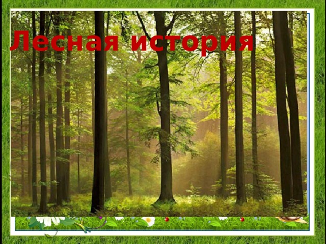 Лесная история 