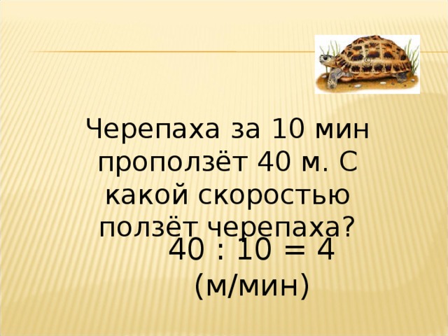 Черепаха за 10 мин проползёт 40 м. С какой скоростью ползёт черепаха? 40 : 10 = 4 (м/мин) 