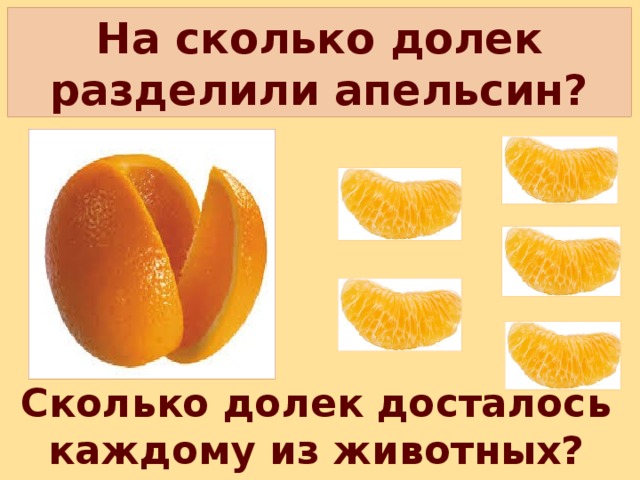 На сколько долек разделили апельсин? Сколько долек досталось каждому из животных?  