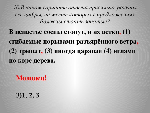 В большом лесу во время бури деревья стонут трещат ломаются схема предложения