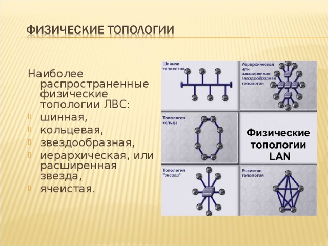 Наиболее распространенные физические топологии ЛВС: шинная, кольцевая, звездообразная, иерархическая, или расширенная звезда, ячеистая. 
