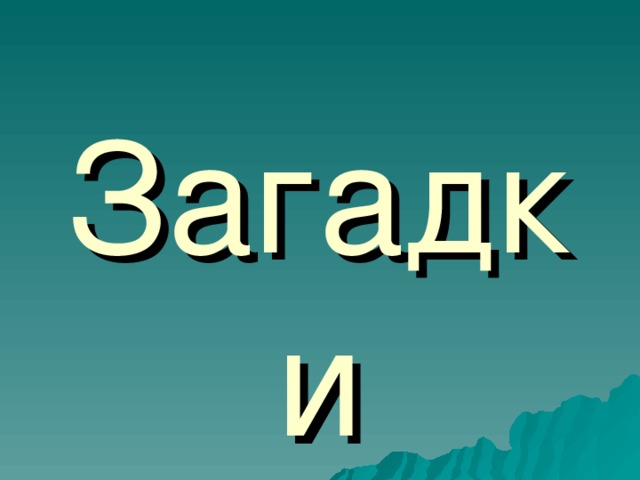 Загадки 