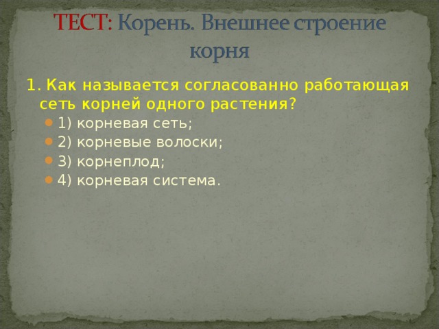 Тесто корень