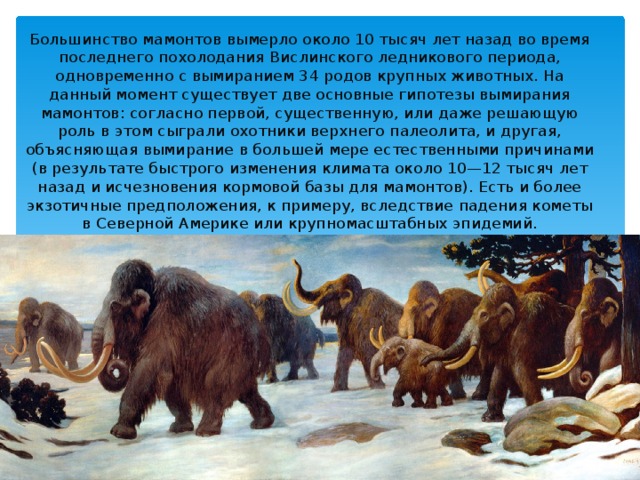 Где жили мамонты. Ареал Мамонтов в России. Эра исчезновения Мамонтов. Вымершие животные ледникового периода. Древние животные обитающие на земле.