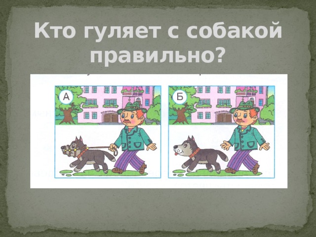 Как правильно собачонок. Кто гуляет с собакой правильно. Кто с кем гуляет. Почему мы любим кошек и собак 1 класс презентация. Окружающий мир 1 класс тема почему мы любим кошек и собак картинки.