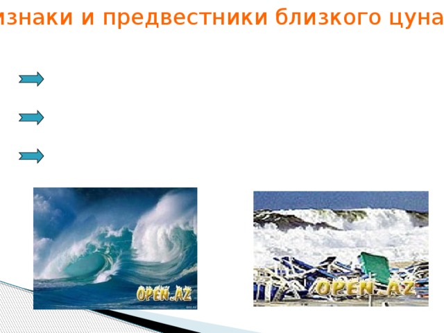 Признаки и предвестники близкого цунами: Сильное отступление воды от береговой линии Мелкое подтопление прибрежной области Бегство животных в направлении возвышенностей 