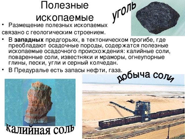 Полезные ископаемые Размещение полезных ископаемых связано с геологическим строением. В западных предгорьях, в тектоническом прогибе, где преобладают осадочные породы, содержатся полезные ископаемые осадочного происхождения: калийные соли, поваренные соли, известняки и мраморы, огнеупорные глины, пески, угли и серный колчедан. В Предуралье есть запасы нефти, газа. 
