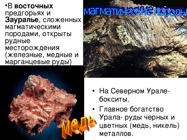 В восточных предгорьях и Зауралье , сложенных магматическими породами, открыты рудные месторождения (железные, медные и марганцевые руды) На Северном Урале- бокситы. Главное богатство Урала- руды черных и цветных (медь, никель) металлов. 