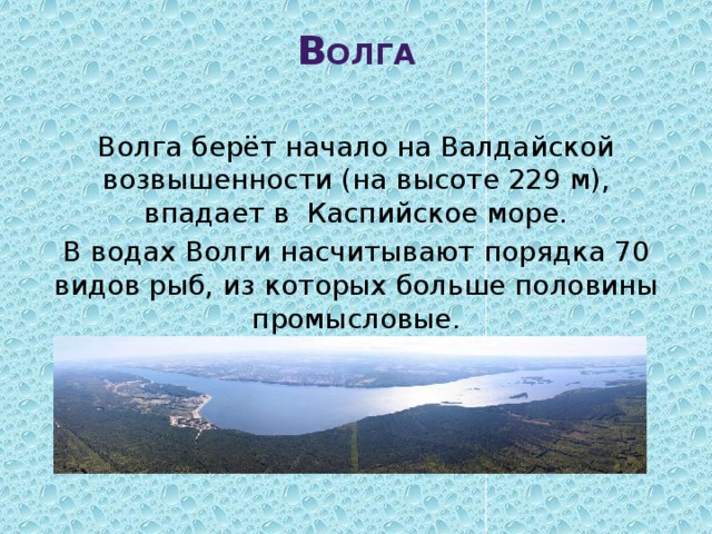 Волга берет начало на валдайской или среднерусской возвышенности