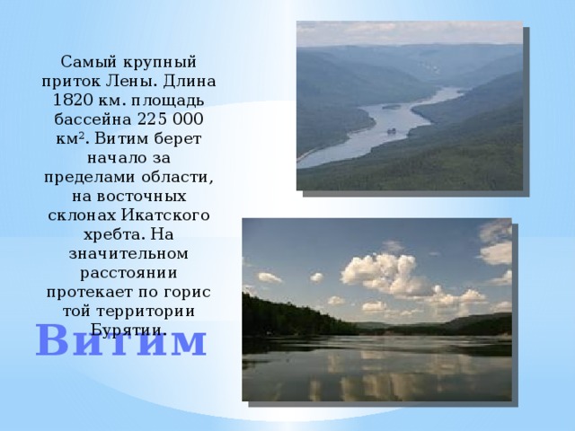 Лена какой приток. Притоки реки Витим в Иркутской области. Самые крупные притоки реки Лена.