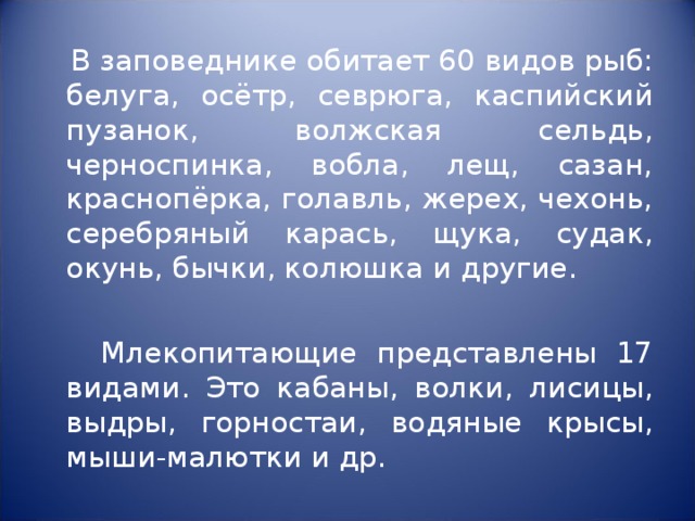  В заповеднике обитает 60 видов рыб: белуга, осётр, севрюга, каспийский пузанок, волжская сельдь, черноспинка, вобла, лещ, сазан, краснопёрка, голавль, жерех, чехонь, серебряный карась, щука, судак, окунь, бычки, колюшка и другие.  Млекопитающие представлены 17 видами. Это кабаны, волки, лисицы, выдры, горностаи, водяные крысы, мыши-малютки и др. 