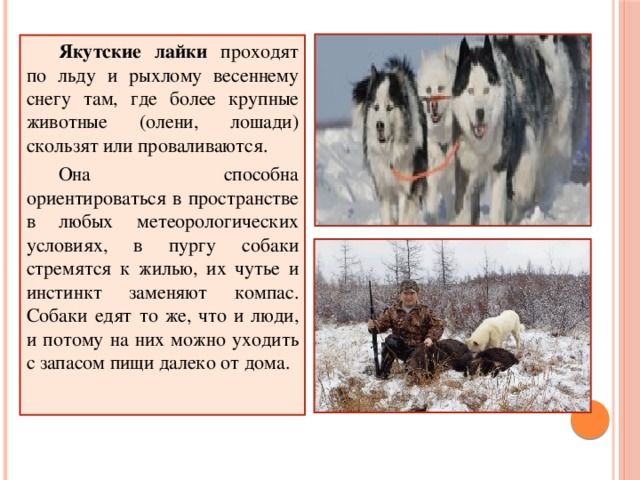 План о якутах а аржакова предусматривал