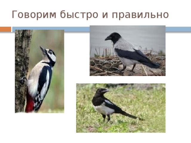 Говорим быстро и правильно 
