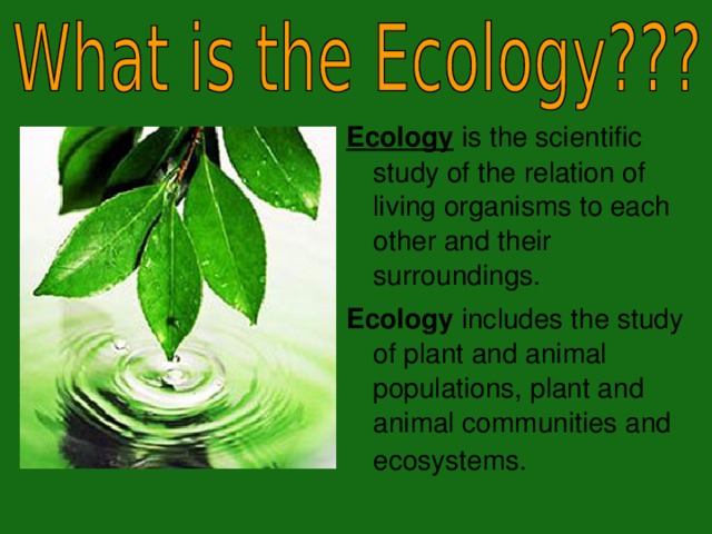 Ecology  is the scientific study of the relation of living organisms to each other and their surroundings . Ecology includes the study of plant and animal populations, plant and animal communities and ecosystems.  