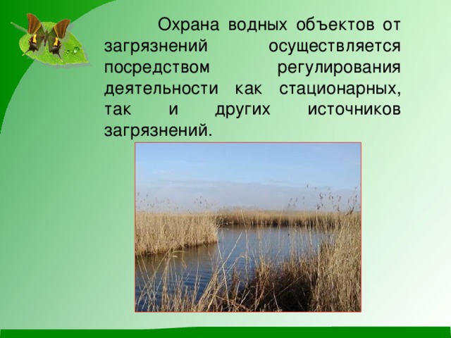 социальные проблемы красноярского края. охрана окружающей среды новосибирска. охрана окружающей среды краснодарского края кратко. заповедники и заказники краснодарского края. экологическая обстановка в краснодарском крае.