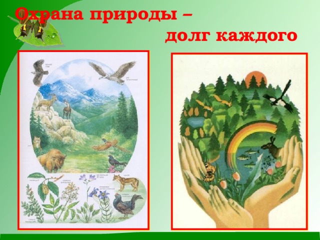 Какая природа долга. Охрана природы. Охрана окружающей среды Краснодарского края. Охрана окружающей среды Краснодарского края кратко. Долг природе.