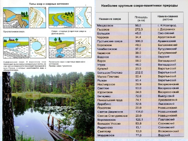 Название природы. Природа название. Озёра Нижегородской области список. Список на природу. Крупные озера Нижегородской области.