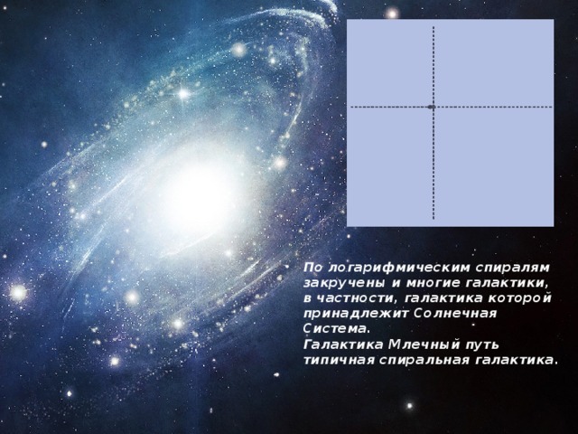 По логарифмическим спиралям закручены и многие галактики, в частности, галактика которой принадлежит Солнечная Система.  Галактика Млечный путь  типичная спиральная галактика.  