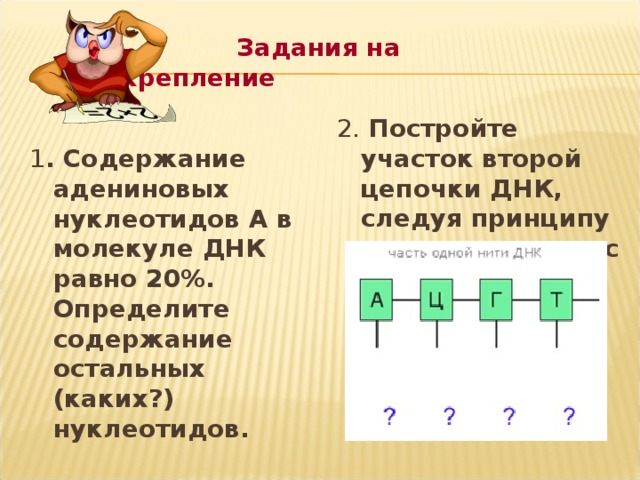 На основе каких файлов строится цепочка навигации