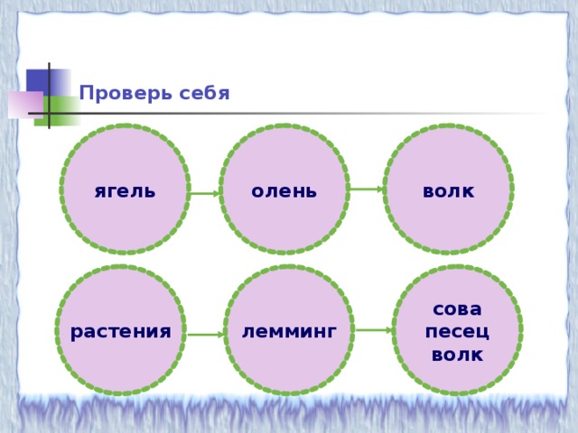 Схема 4 класса. Цепь питания в тундре 4 класс окружающий мир схема. Схема цепи питания характерной для тундры. Цепь питания в тундре. Цепь питания характерная для тундры.