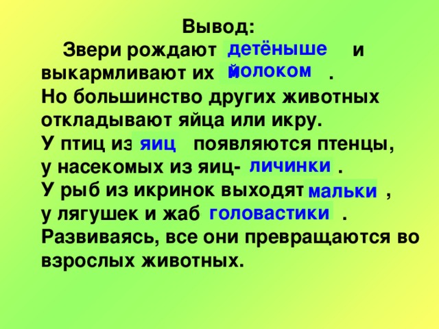 Выводить животных. Насекомые откладывают яйца откладывают икру или рождают детёнышей. У насекомых из яиц появляются. У насекомых из яиц появляются а у птиц. У рыб из яиц появляются.