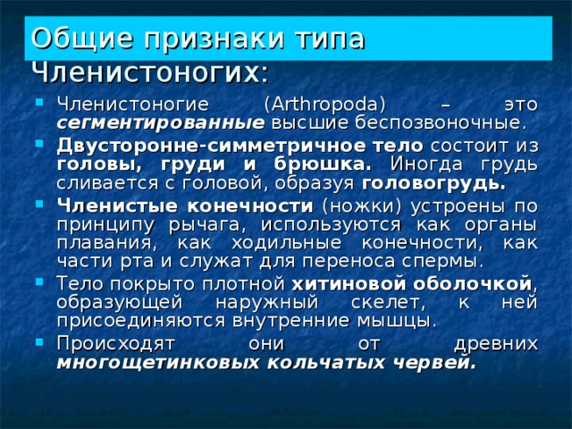 Общие признаки типа Членистоногих: Членистоногие (Arthropoda) – это сегментированные высшие беспозвоночные. Двусторонне-симметричное тело состоит из головы, груди и брюшка. Иногда грудь сливается с головой, образуя головогрудь.  Членистые конечности (ножки) устроены по принципу рычага, используются как органы плавания, как ходильные конечности, как части рта и служат для переноса спермы. Тело покрыто плотной хитиновой оболочкой , образующей наружный скелет, к ней присоединяются внутренние мышцы. Происходят они от древних многощетинковых кольчатых червей.  