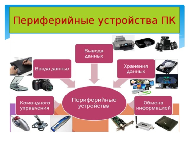 Среди перечисленных к периферийным устройствам компьютера не относится