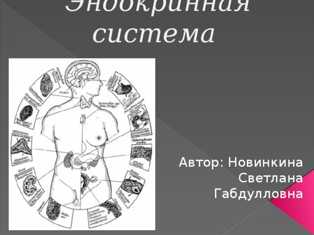 Эндокринная система    Автор: Новинкина Светлана Габдулловна 