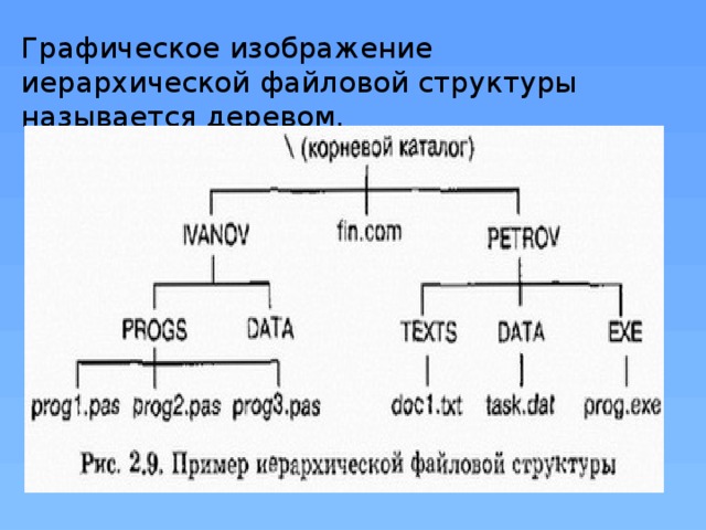 Изображение файловой структуры. Иерархические Графическое изображение. Графическое изображение иерархической файловой. Дерево иерархической файловой структуры.