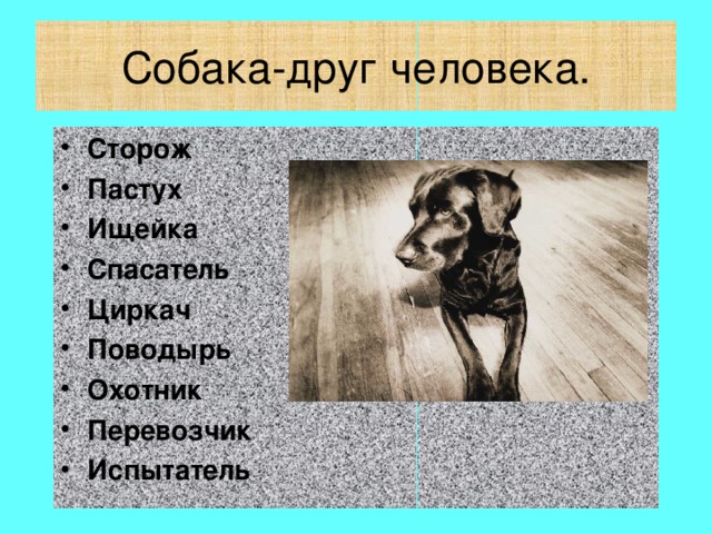 джек поводырь жанр произведения. джек поводырь жанр произведения. джек поводырь жанр произведения. джек поводырь жанр произведения. собаки поводыри доклад по окружающему.