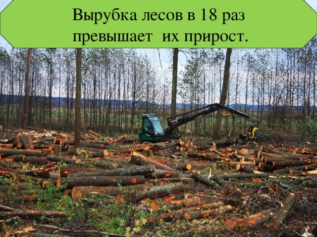 Вырубка лесов в 18 раз  превышает их прирост. 