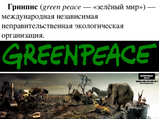  Гринпис  ( green peace  — «зелёный мир») — международная независимая неправительственная экологическая организация. 