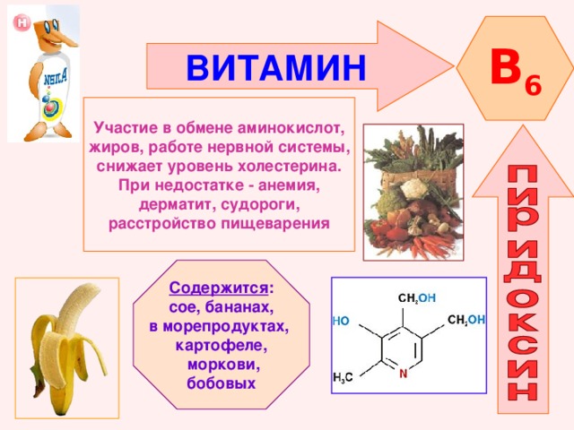 B 6 ВИТАМИН  Участие в обмене аминокислот, жиров, работе нервной системы, снижает уровень холестерина. При недостатке - анемия, дерматит, судороги, расстройство пищеварения Содержится : сое, бананах, в морепродуктах, картофеле,  моркови, бобовых 