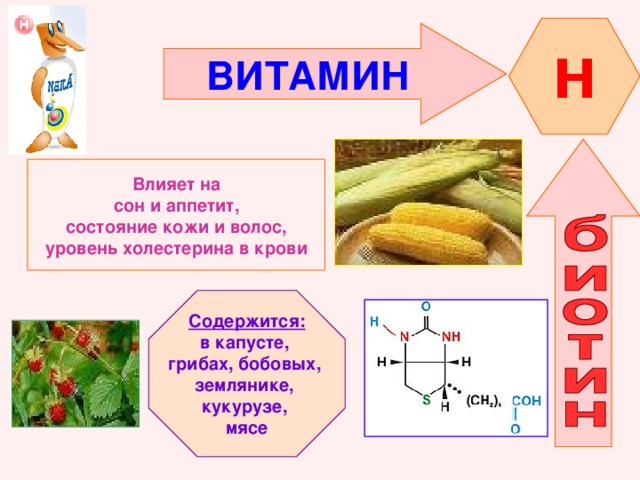 H ВИТАМИН    Влияет на  сон и аппетит, состояние кожи и волос, уровень холестерина в крови   Содержится: в капусте, грибах, бобовых, землянике, кукурузе, мясе 